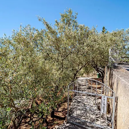 Villa Seaside Anita By Guide Vela Luka