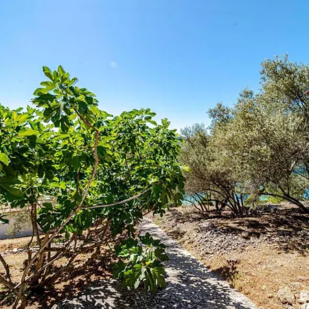 Seaside Anita By Guide Villa Vela Luka